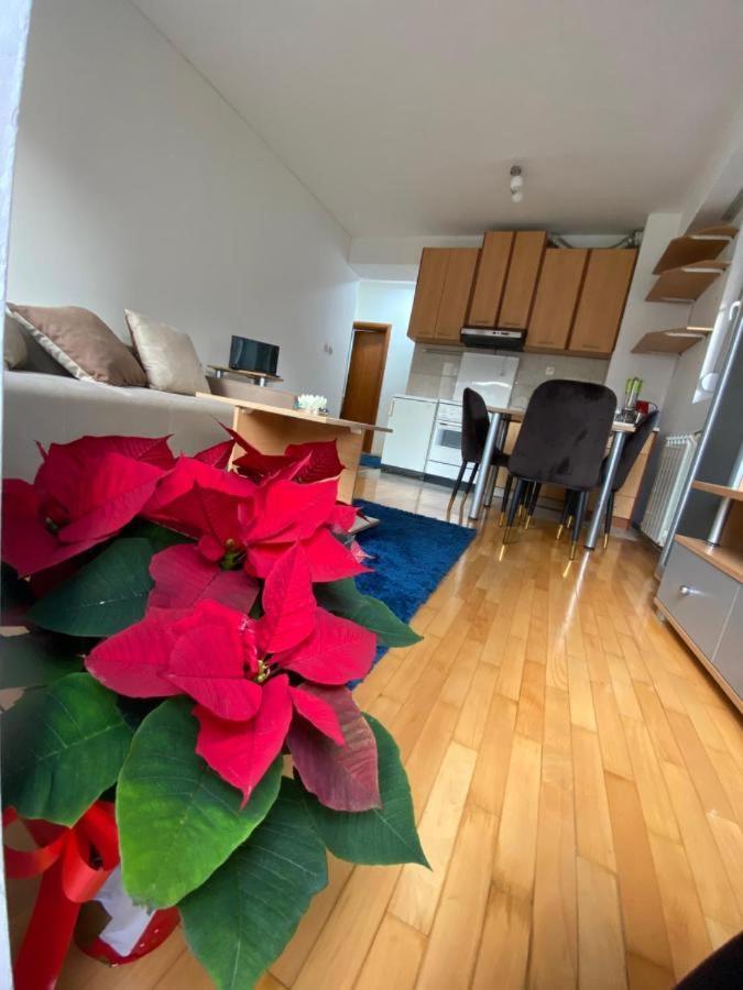 Tea Apartment 斯科普里 外观 照片